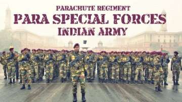 Indian Army's Para Commandos' unique march at Rajpath on 71st Republic day | Watch Video