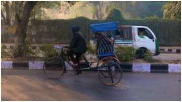 Photos of a Delhi rickshaw keeping a stray dog warm win the internet