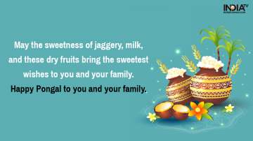 Pongal wishes, pongal greetings