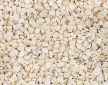 Govt plans to extend urad imports till June on likely domestic shortage