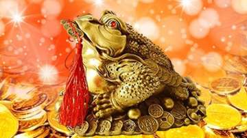 Vastu Tips: Keeping a three-legged frog in the office will bring prosperity. Here's how