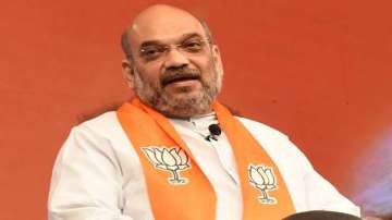 Meeting of Delhi BJP MPs convened after exit poll results misses Amit Shah's presence