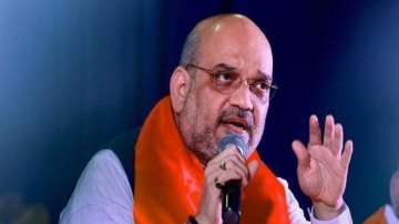 No intention to remove Article 371: Amit Shah