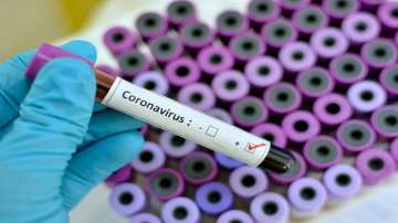 Coronavirus update: WHO urges 'no stigma' to be associated with novel coronavirus