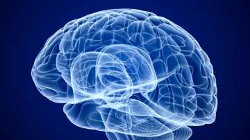 Artificial Intelligence technology, AI Technology, IIT Madras, converting brain signals into languag