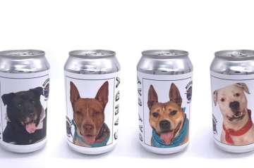 Woman to reunite with her missing dog after seeing him on viral beer cans in Florida
