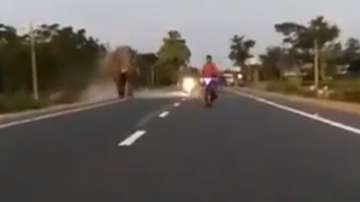 Biker, elephant, video