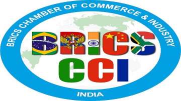 BRICS CCI summit discusses international law issues