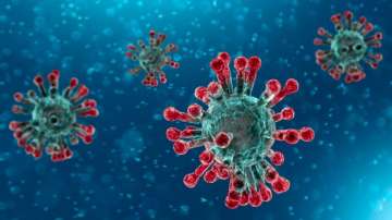 Coronavirus: WHO gives an official name 'COVID-19' to the deadly disease