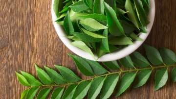 curry leaves