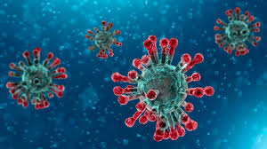 WHO underestimates coronavirus' ability to spread: Study