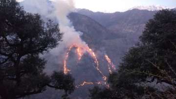 Forest fire in Kinnaur, Himachal Pradesh