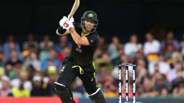 david warner, david warner australia, david warner t20is, david warner t20 world cup, david warner w