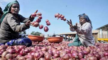 Wholesale inflation accelerates to 10-month high of 3.1 pc in Jan on costlier onion, potato