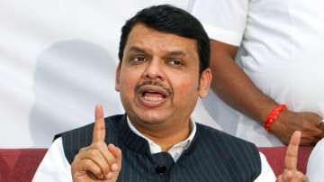 Why Pawar wants mosque in name of invader Babar: Fadnavis