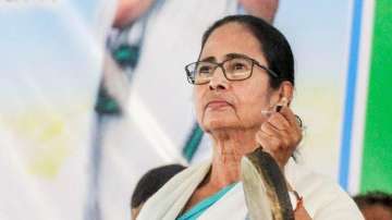 'Is it the end of democracy?' Mamata Banerjee pens poem condemning Delhi violence
