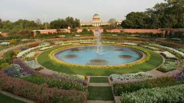 Mughal Garden to open doors to public from Feb 5 as fresh flowers bloom