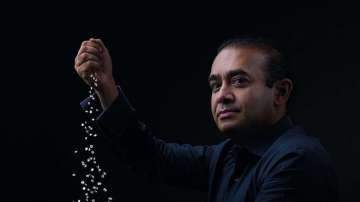 Nirav Modi/File