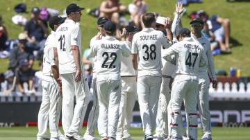 New Zealand players celebrate the wicket of Rishabh Pant of India during day four of the First Test match between New Zealand and India at Basin Reserve on February 24