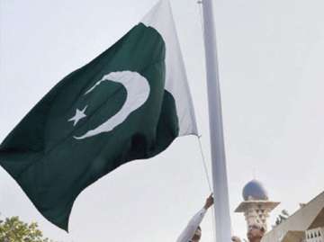A representative image of the Pakistan flag