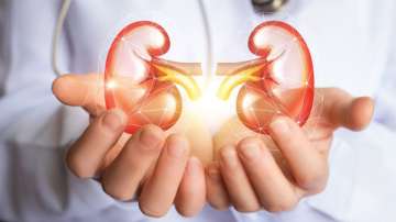 New algorithm predicts likelihood of acute kidney injury