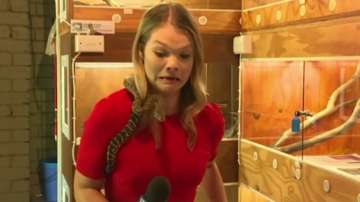 A snake attacked Australian journalist Sarah Cawte's mic while she was reporting