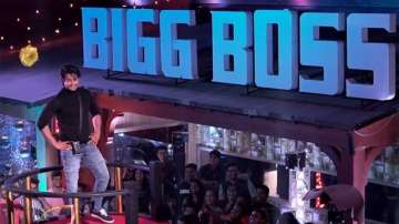 Mahira Sharma evicted, Sidharth and Arti enjoy their BB13 journey