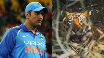 Dhoni on Friday posted an image of a tiger 