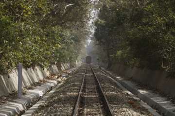 109-year-old rail line in Dudhwa National Park to shut down