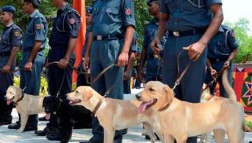 Kolkata Police to induct dog breed that tracked Osama bin Laden