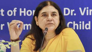 Animals can't transmit COVID-19, stop creating panic, says Maneka Gandhi