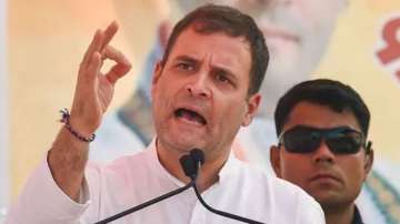 Rahul Gandhi slams govt as COVID-19 grips D-street