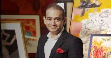 NCLT Mumbai orders liquidation of Nirav Modi's scam-hit firm