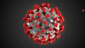 Most-asked questions on Google on Coronavirus: We answer them for you