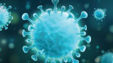 India has devised a new strategy for testing of coronavirus 