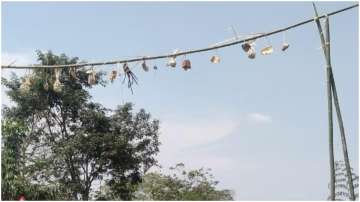 Animals including a dog were killed and hung on a rope over a road in Pasighat.