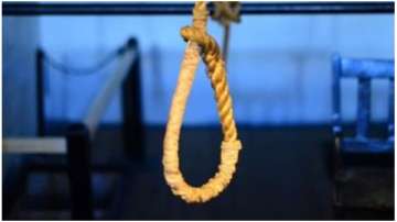 Nirbhaya Case: Pawan Jallad readies noose for hanging, carries out dummy execution