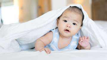 Infant cereal consumption linked to improved nutrient intake