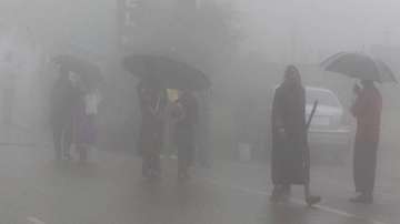 Mercury dips after showers in Punjab, Haryana