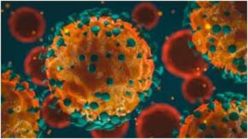 COVID-19 Pandemic: Novel coronavirus stays for a day on cardboard & 3 days on plastic, says Study