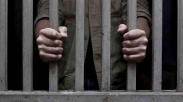 Pehlu Khan lynching case: 2 teenagers sentenced to 3 yrs in special home