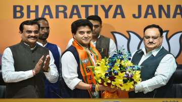 Jyotiraditya Scindia BJP Rajya Sabha candidate, Harsh Chauhan BJP rajya sabha candidate, bjp rajya s