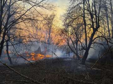 Chernobyl forest fire
