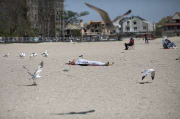 A woman sleeps on Brighton Beach in the Brooklyn borough of New York as seagulls flutter around her,