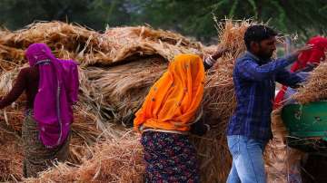 Govt disburses Rs 15,841 cr to farmers under PM-KISAN during COVID-19 lockdown