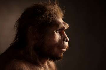 Origin of human language may be 25 million years old