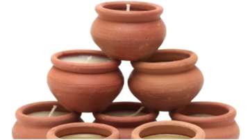 Placing show piece or pot made of clay in the northeast direction is auspicious, here's why