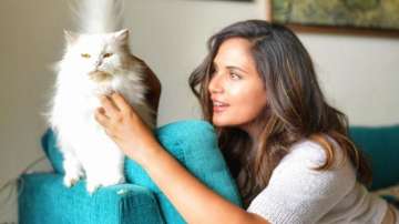 Richa Chadha on people abandoning pets: Assess mental state before letting them adopt