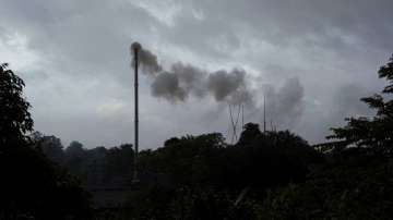 Air pollution linked to increased dementia risk