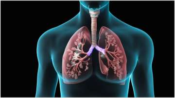 How corona-recovered patients can improve lung function